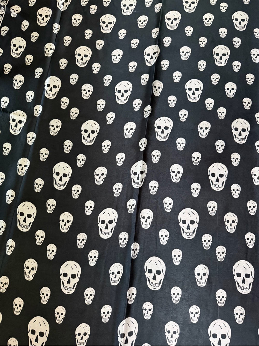 Alexander McQueen Skull Print silk Scarf.